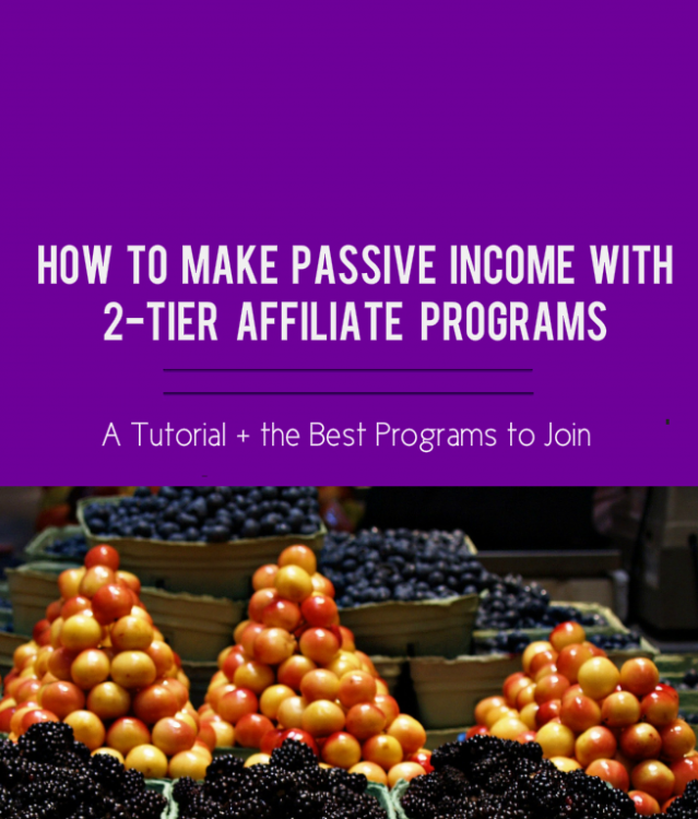 2-tier affiliate program blog post image, affiliate programs blog post, fruit stacks,